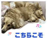 843347875