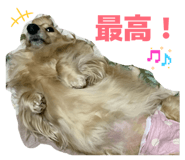 843347891