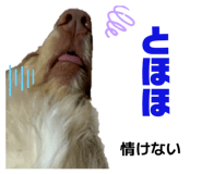 843347895