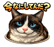843348016