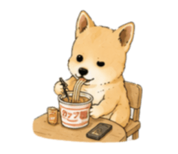 843348260