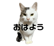 843348490