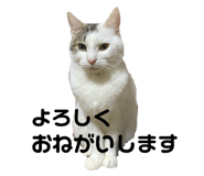 843348492