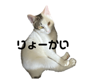 843348496