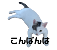 843348498