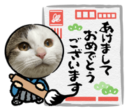 843348501