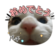 843348510