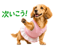 843348632