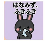 843348646