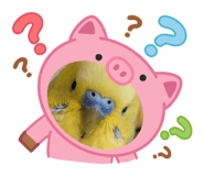 843348876