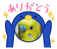 843348877