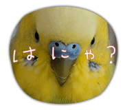 843348896
