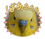 843348898