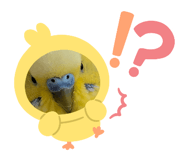 843348902