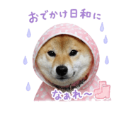 843349131