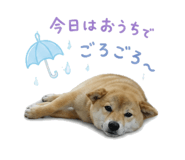 843349134