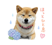 843349136