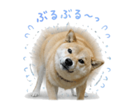 843349139