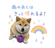 843349143