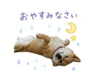 843349144