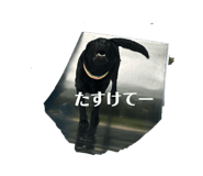 843349419
