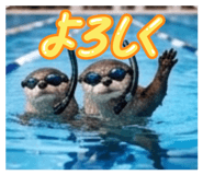 843349430