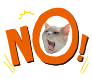 843349485