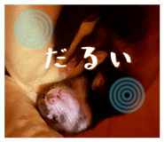 843349805