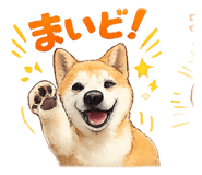 843349897