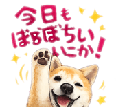 843349900