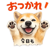 843349904