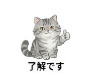 843350211