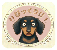 843350411