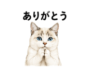 843350443