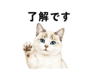 843350444