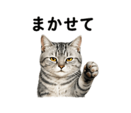 843350452