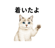 843350455