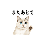 843350461