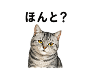 843350468