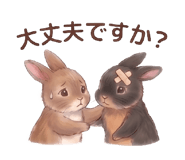 843350559