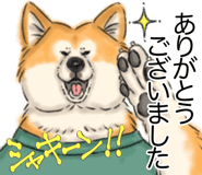 843350702