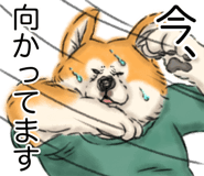 843350704