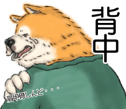 843350711