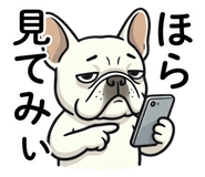 843350884