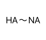 843351145
