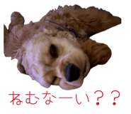843351685