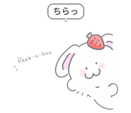 843352482