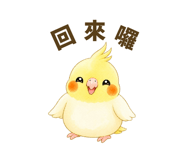 843353051