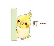 843353068