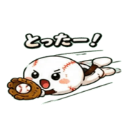 843353580